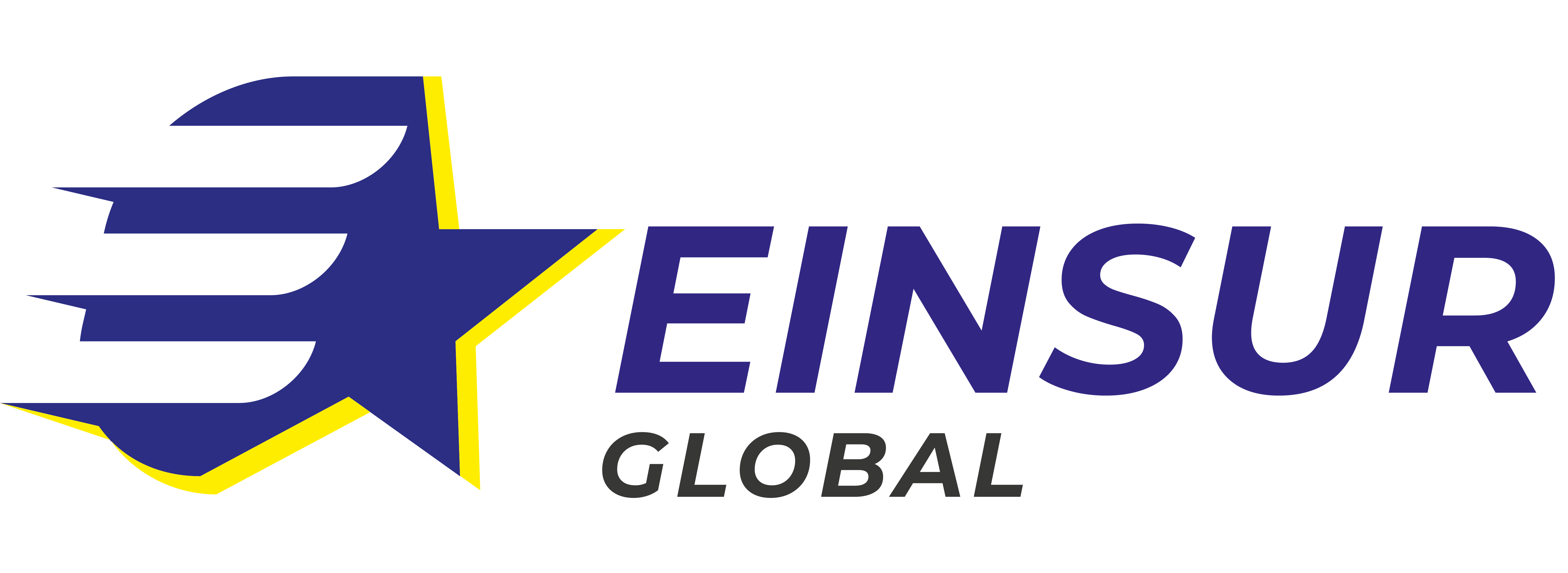 Logo Einsur Global